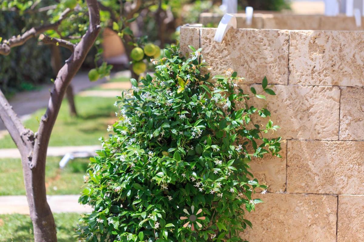 Agriturismo Tenuta Margherita Torre Lapillo Dış mekan fotoğraf