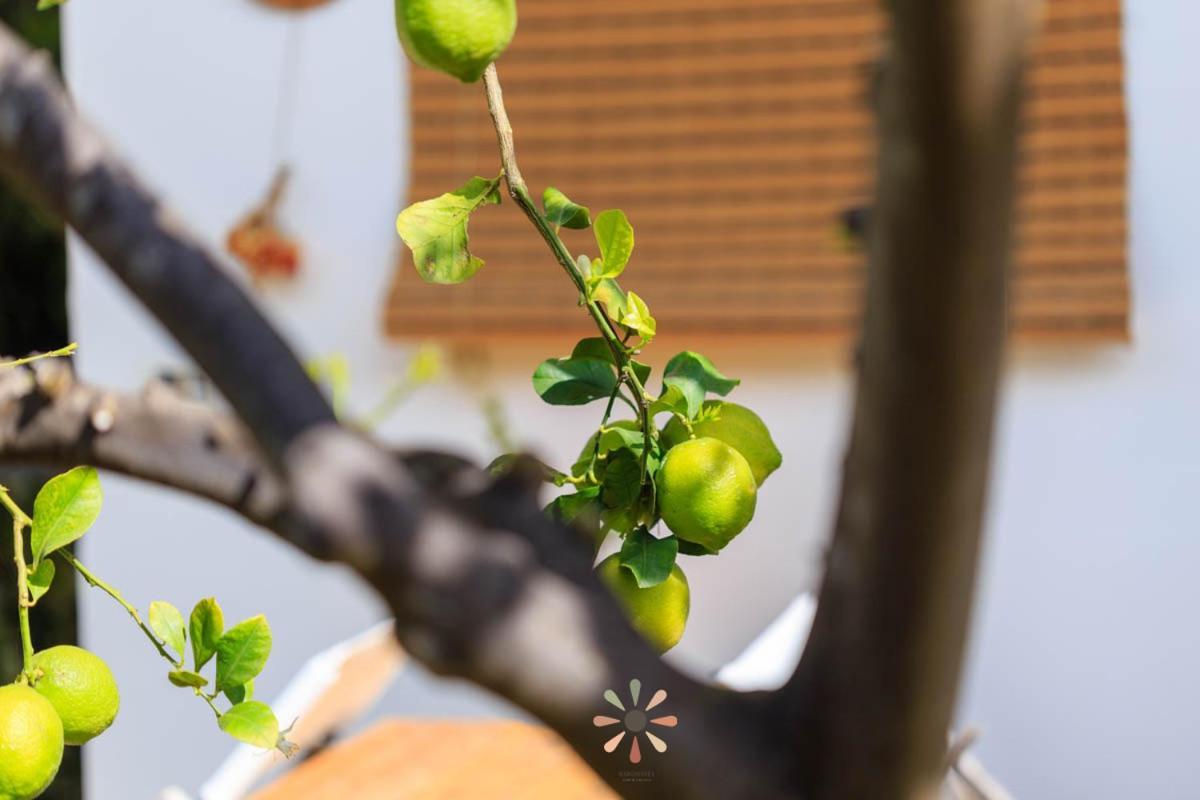 Agriturismo Tenuta Margherita Torre Lapillo Dış mekan fotoğraf