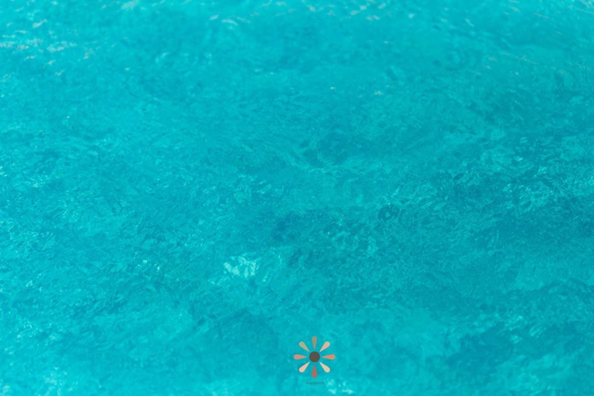 Agriturismo Tenuta Margherita Torre Lapillo Dış mekan fotoğraf