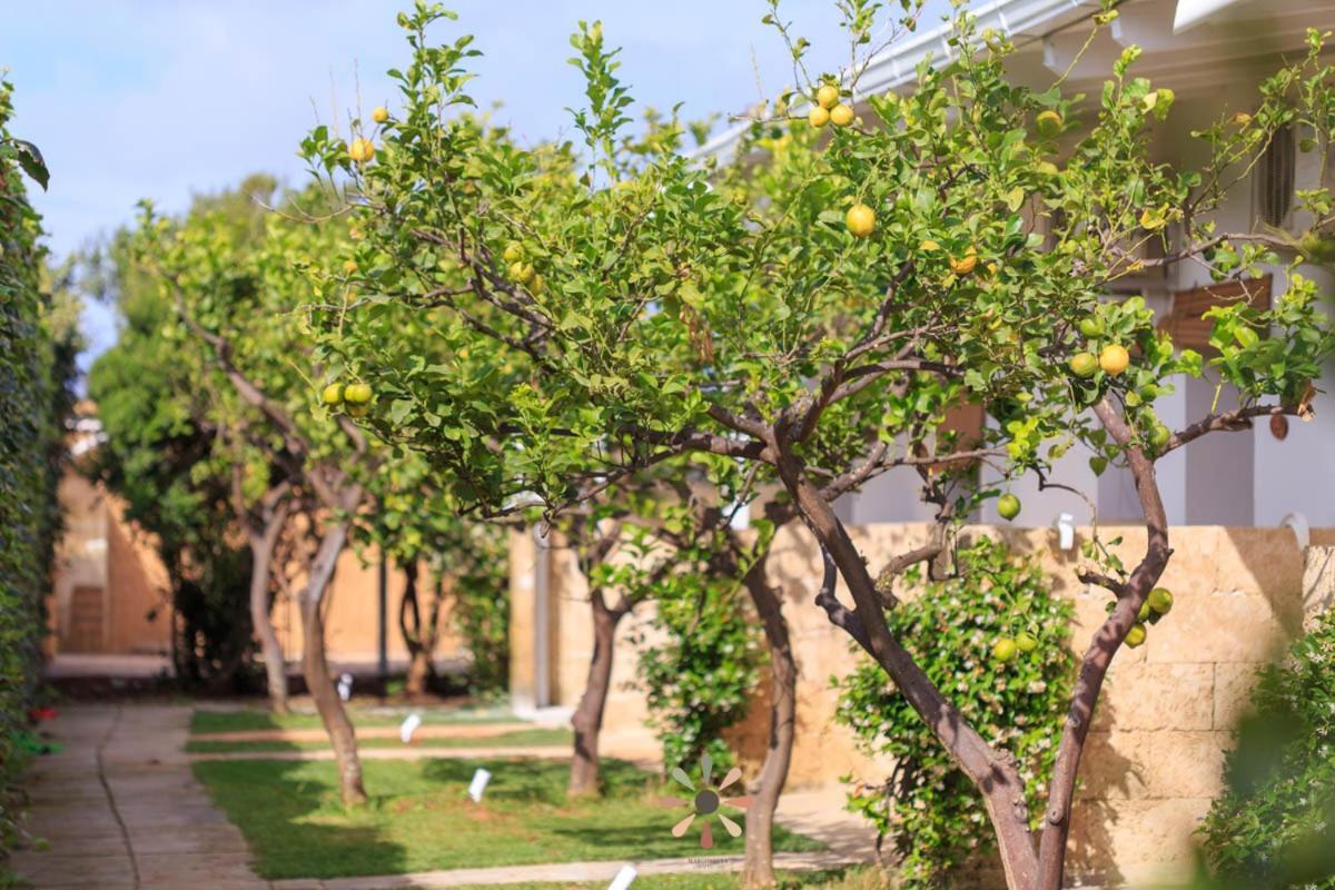 Agriturismo Tenuta Margherita Torre Lapillo Dış mekan fotoğraf